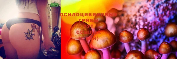 бошки Балахна