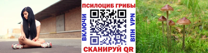 Купить  Таштагол  Галлюциногенные грибы мицелий 